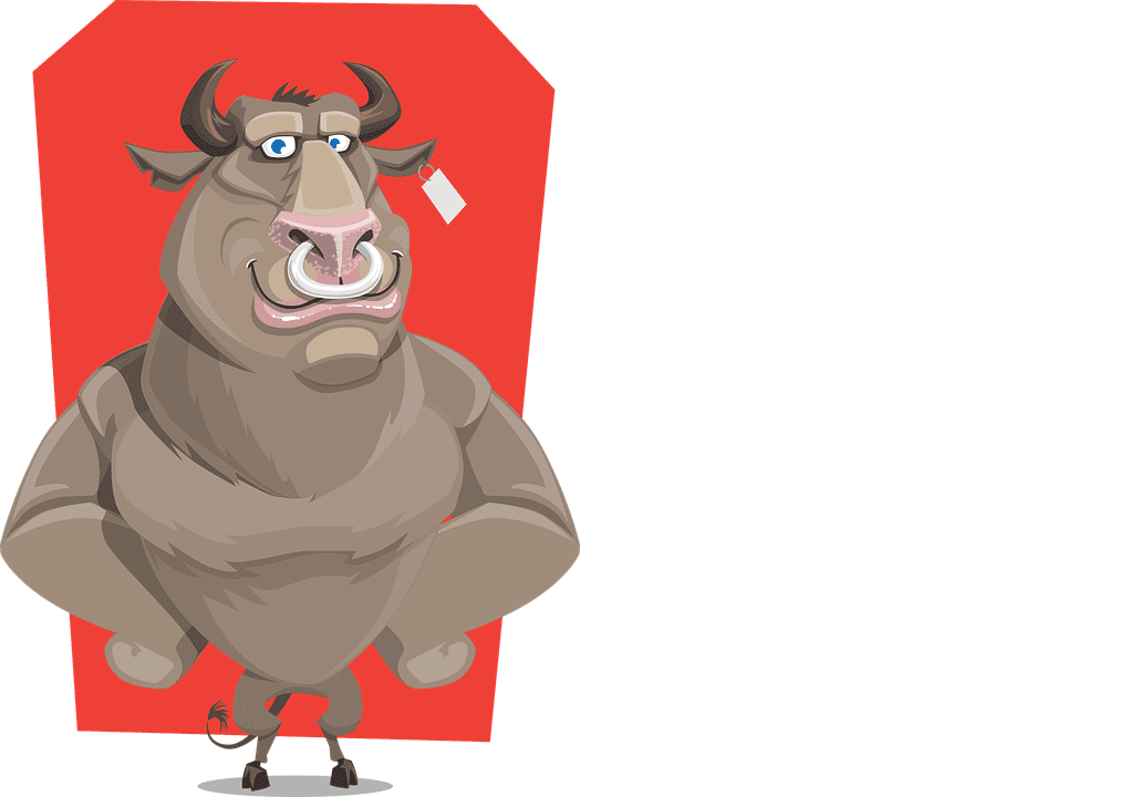 bull-1454648_960_720 bull-1454648_960_720