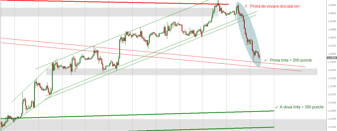 prognoza forex